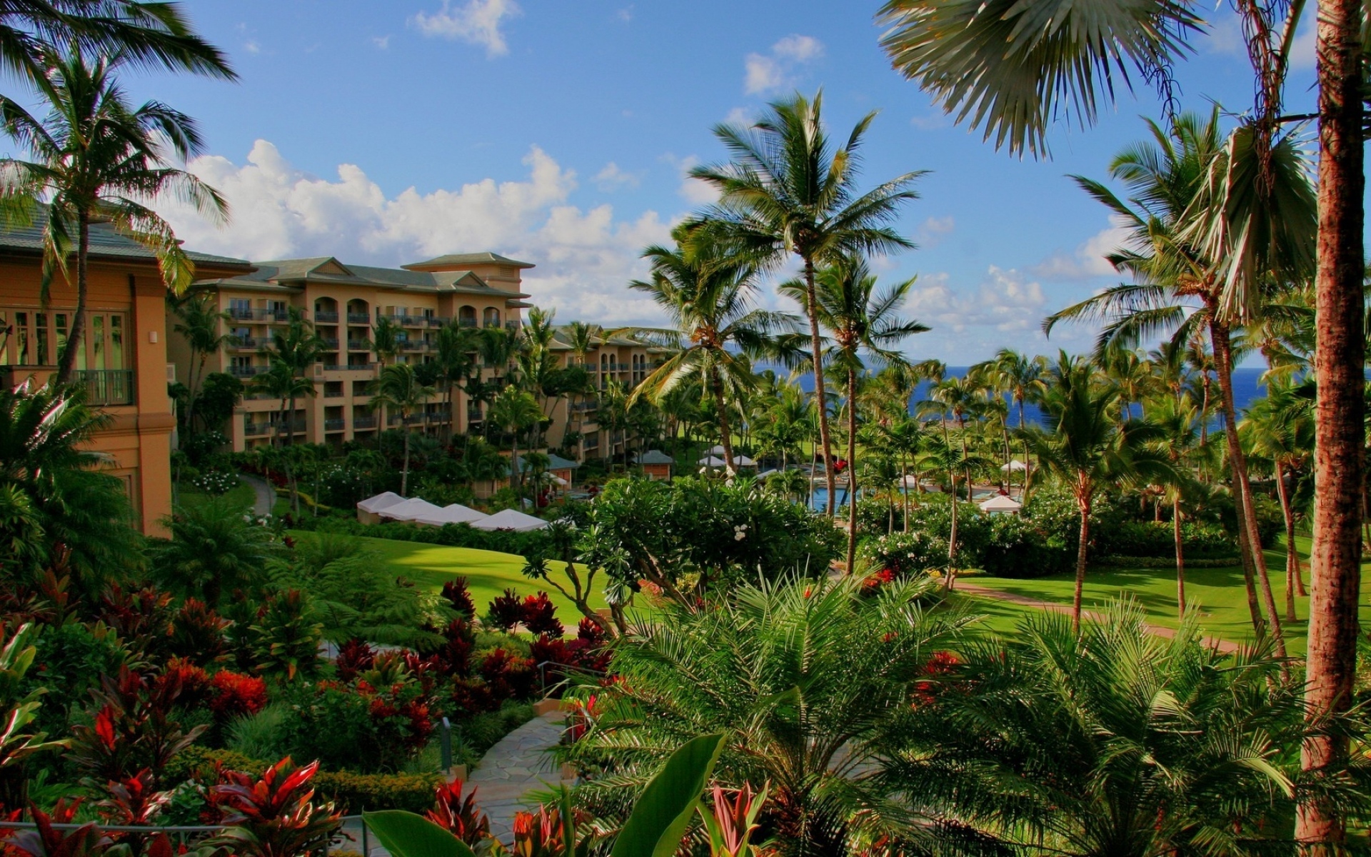 Картинки Гавайи, отель, пальмы, бассейн, море, цветы фото и обои на рабочий стол
