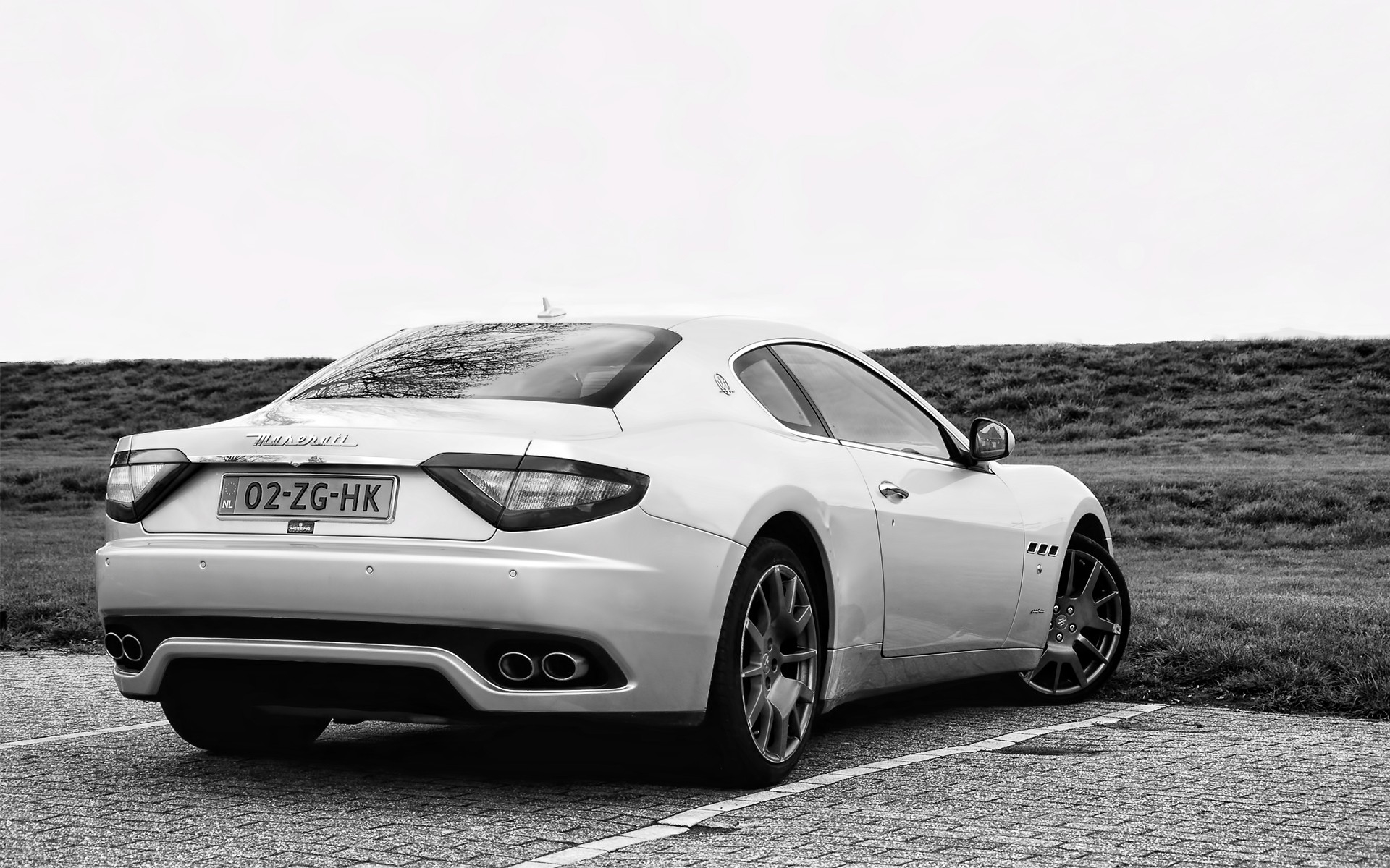 Картинки Maserati, белый, вид сзади, улица фото и обои на рабочий стол