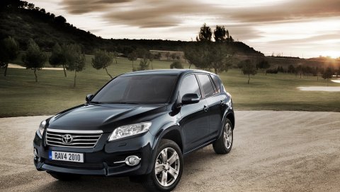 Toyota rav4, черный, природа, вид сбоку