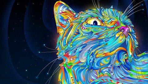 Абстракция, вектор, кошка, красочный, краска