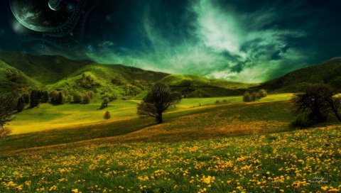 Луг, природа, лето, трава, небо