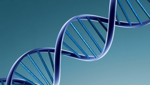 Dna, спираль, синяя, сетка