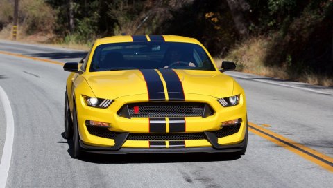 Ford, Shelby, 2017, GT350