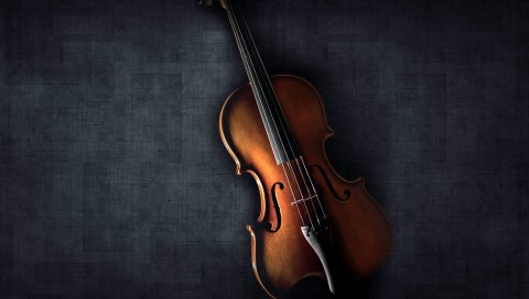 Guitor