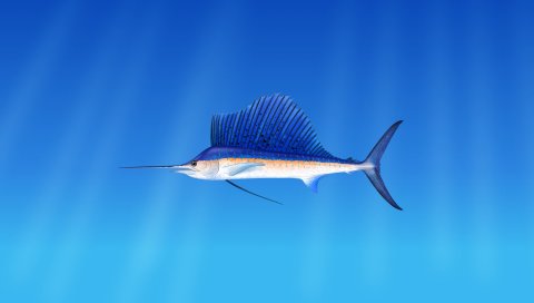 Подводный, склад, Deepin