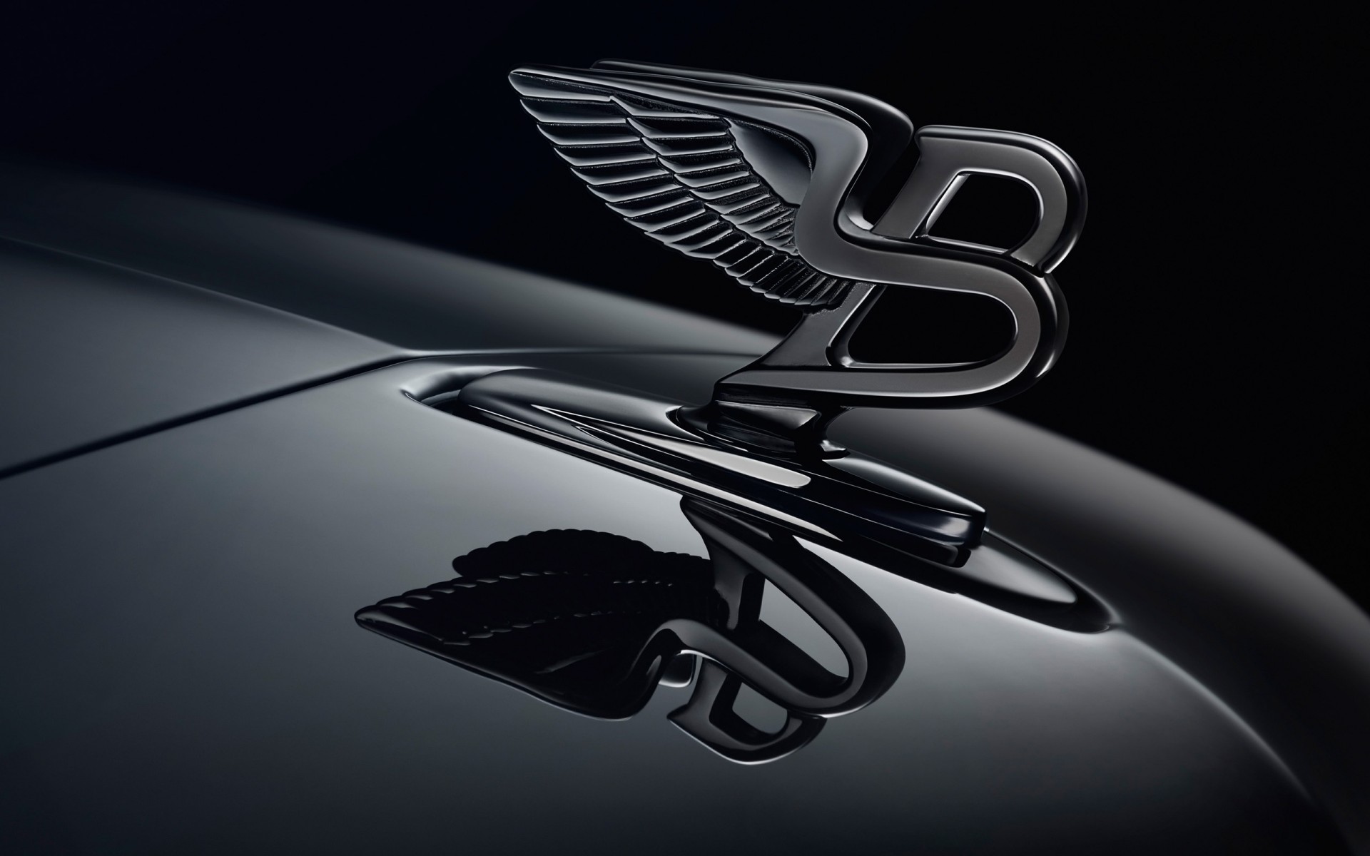 Картинки Логотип, Bentley фото и обои на рабочий стол