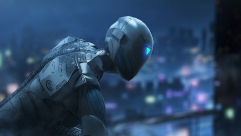 Ninja, Assassin, Saija, Raw, Data