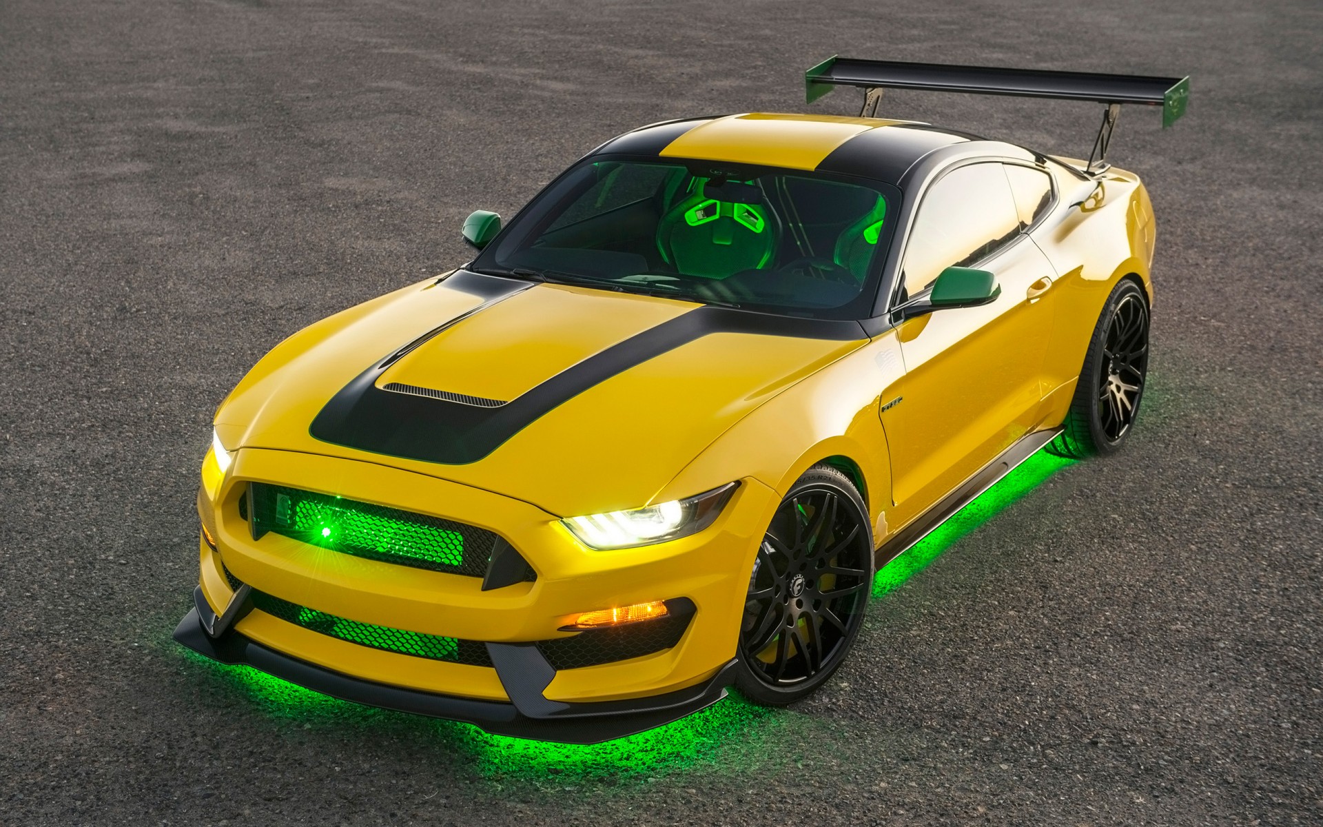 Картинки Ford, Mustang, Shelby, 2016, GT350, Ole, Yeller фото и обои на рабочий стол