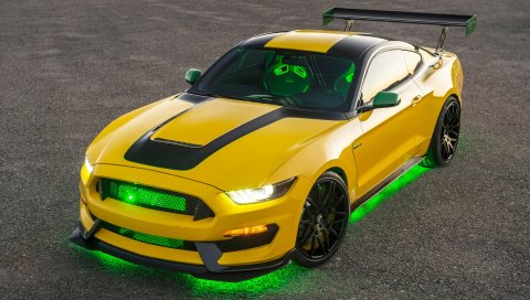 Ford, Mustang, Shelby, 2016, GT350, Ole, Yeller