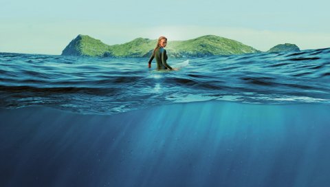 The, Shallows