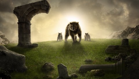 Король, медведь