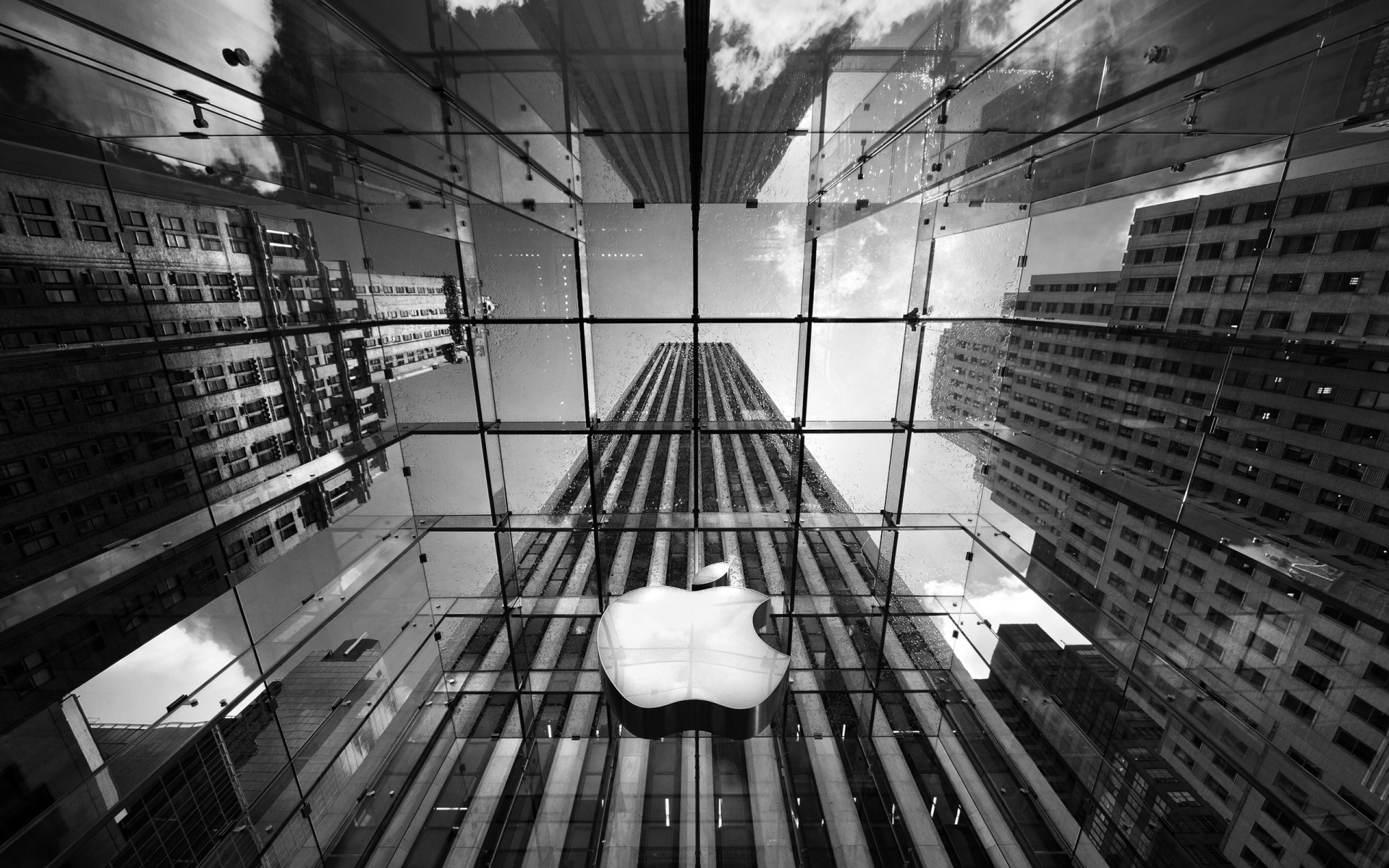 Картинки Йорк, Apple, магазин фото и обои на рабочий стол