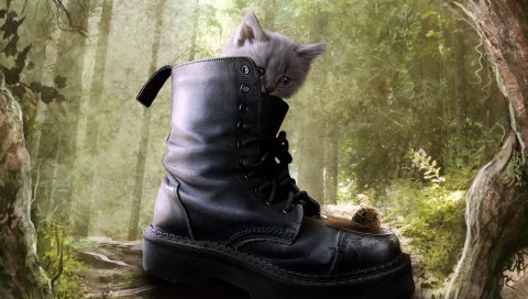 Puss, Boot