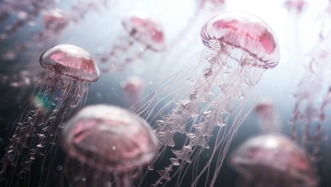Цифровые, медузы, произведения искусства
