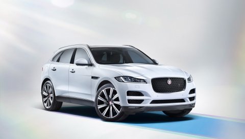 Jaguar, Pace, 2017
