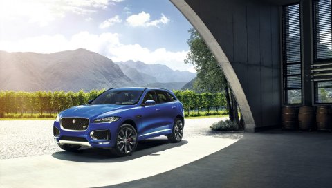 Jaguar, Pace, 2016