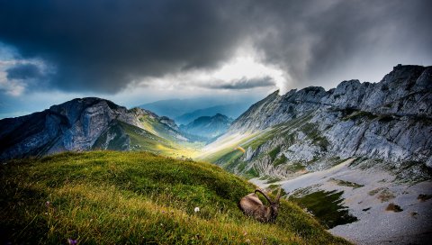 Гора, Швейцария, Пилатус