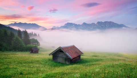 Германия, Альпы, Луг