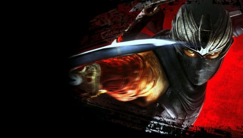 Ниндзя, Гайден