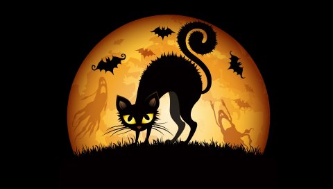 Хэллоуин, Кошки, Летучие мыши