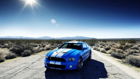 Ford, Shelby, GT500