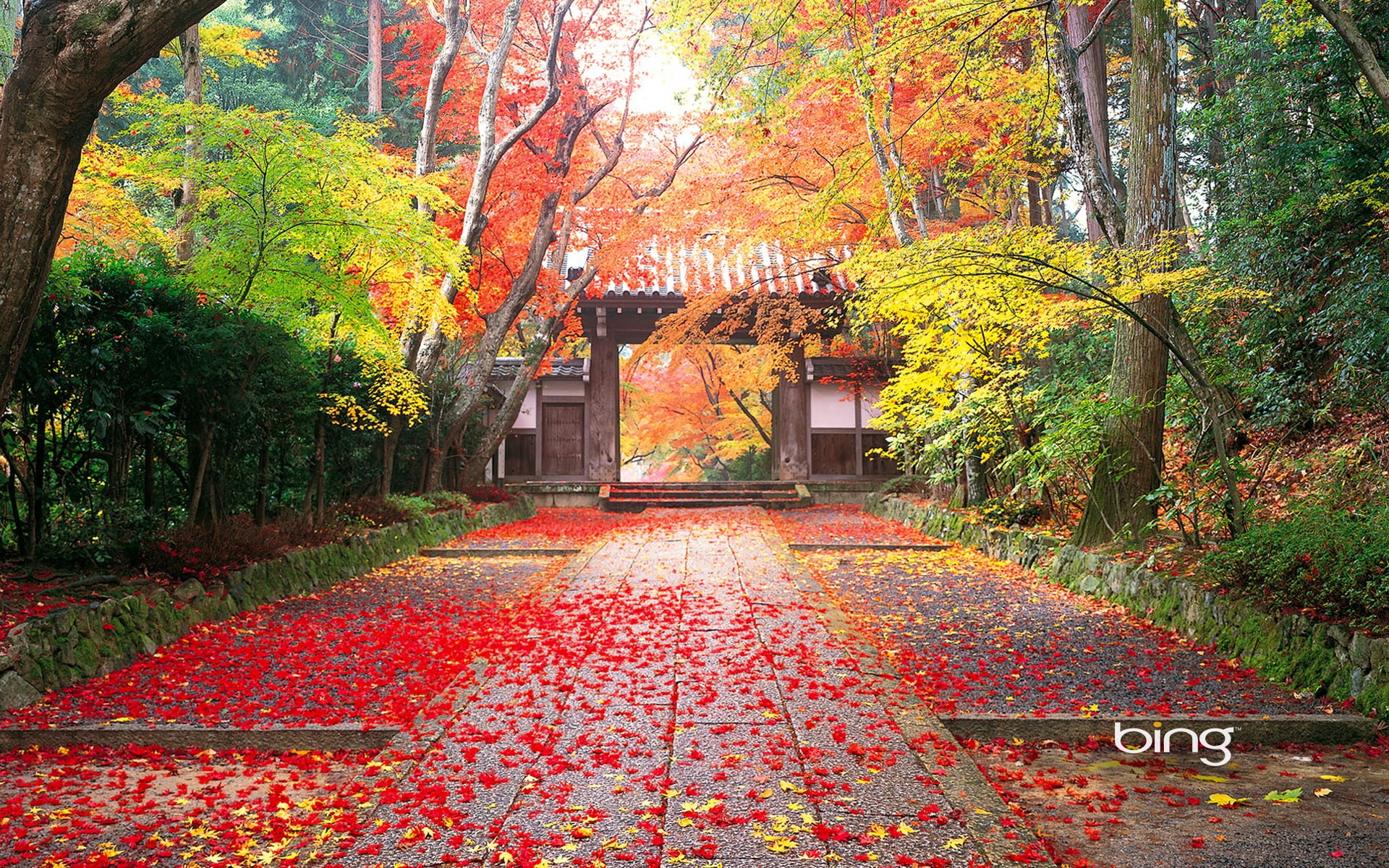 Картинки Осень, Япония фото и обои на рабочий стол
