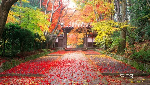 Осень, Япония