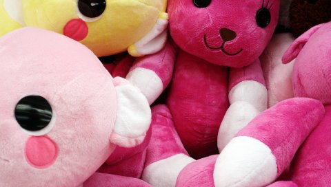 Teddy, Bunnies