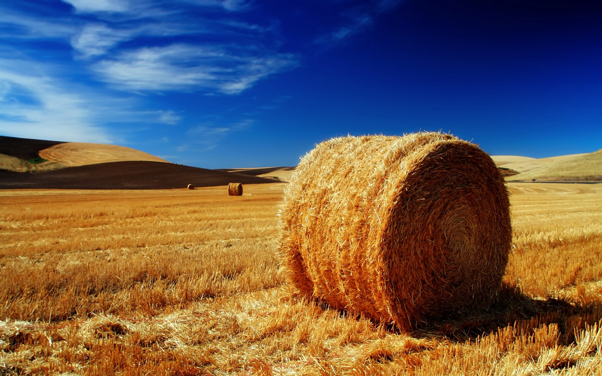 Картинки Поля, Palouse фото и обои на рабочий стол