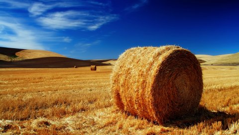 Поля, Palouse