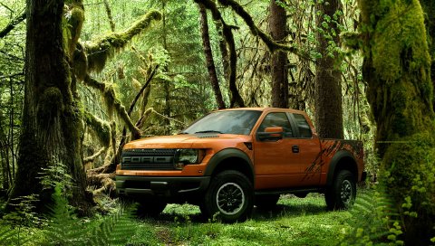 Ford, Raptor