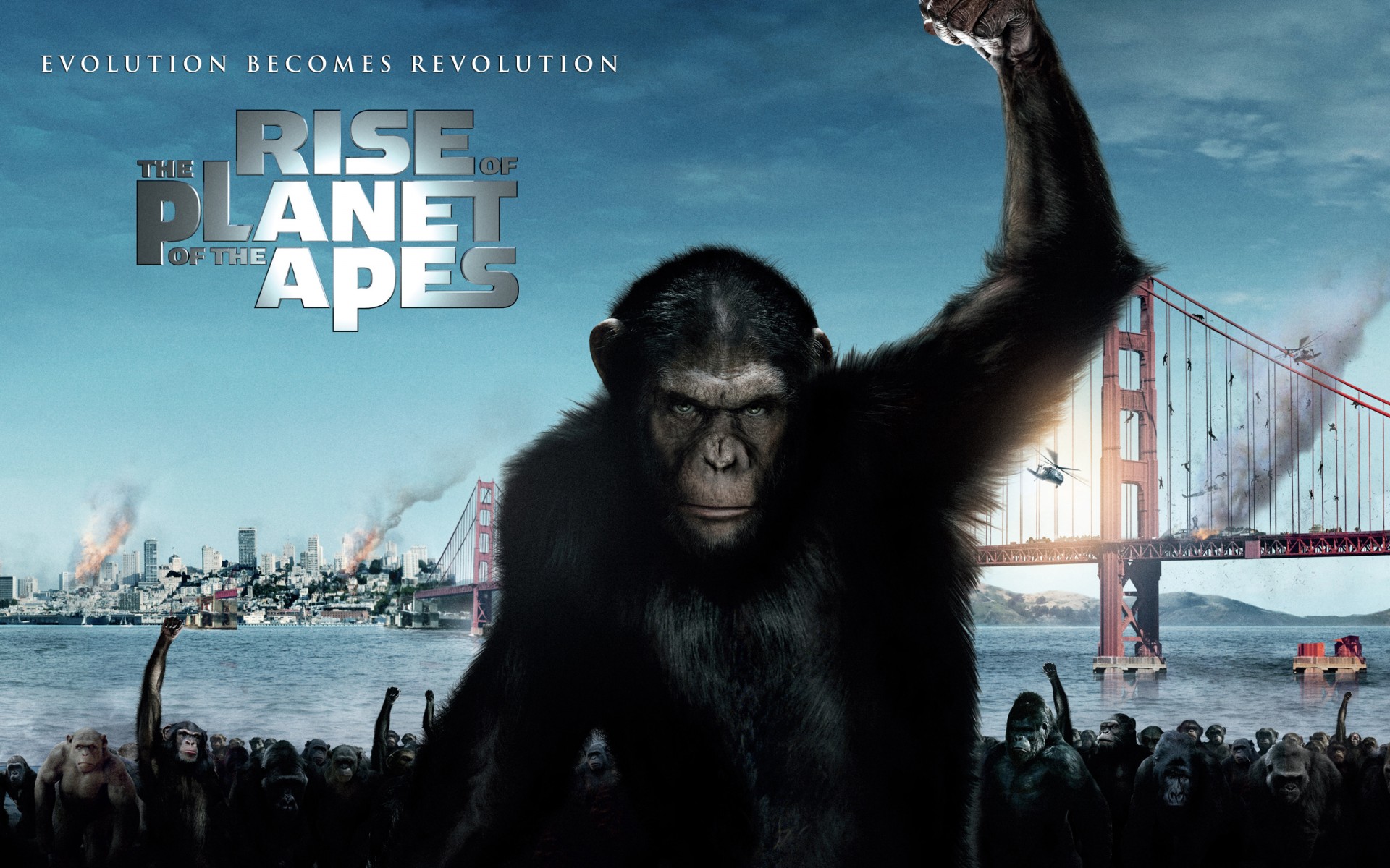 Картинки Rise, Planet, 2011, Apes фото и обои на рабочий стол