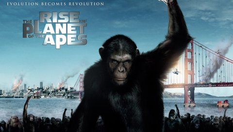 Rise, Planet, 2011, Apes