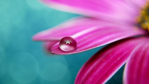 Drop, Perfect
