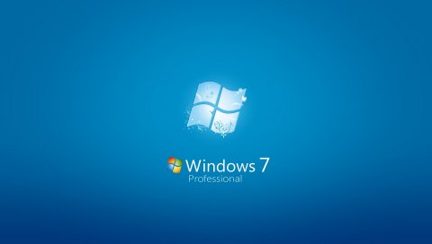 Windows, Professional