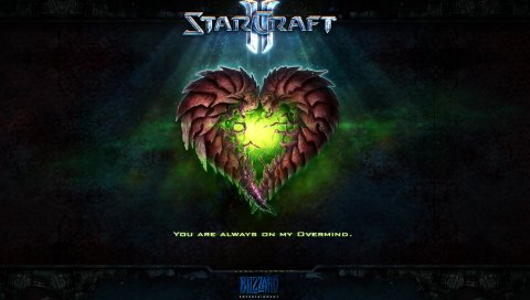 Starcraft, Game, (2010)