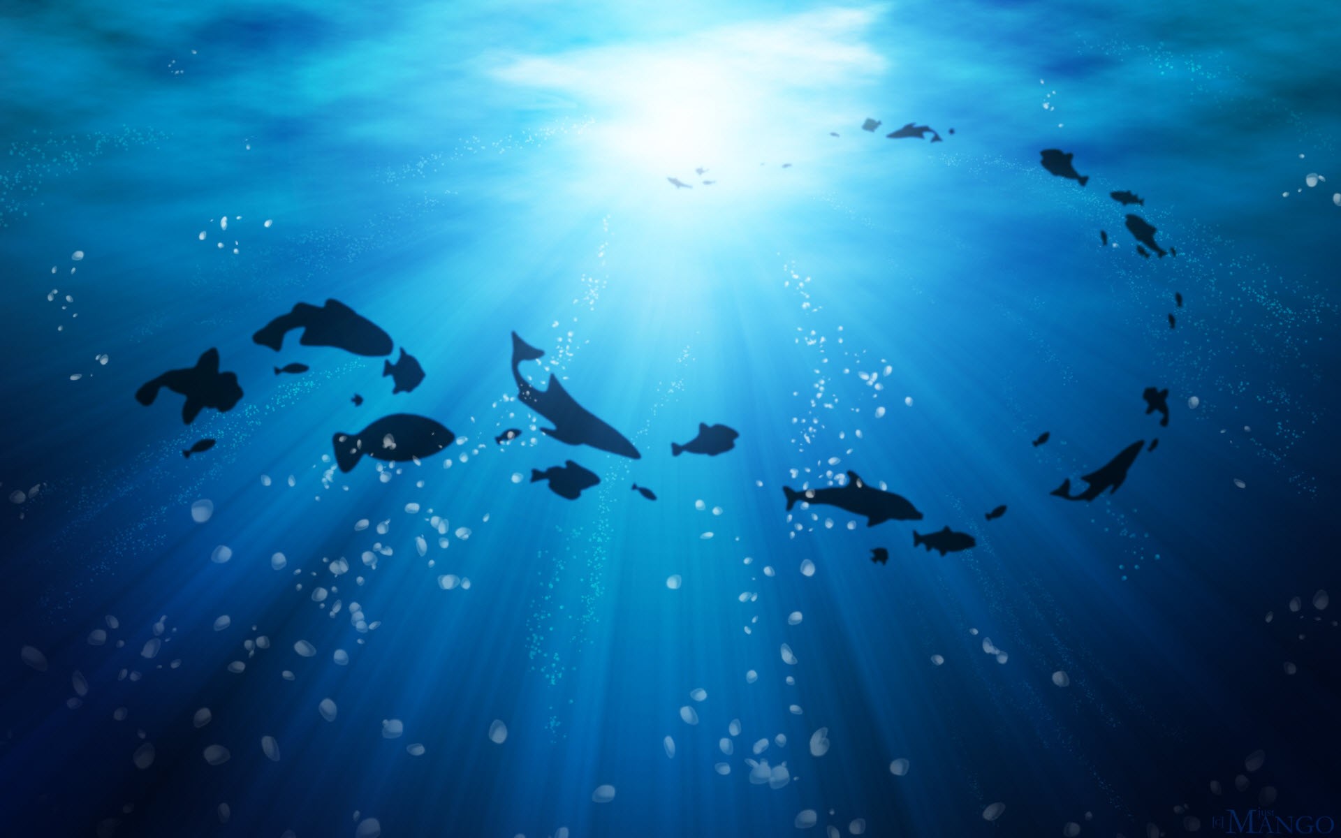Картинки Under, Life, Ocean фото и обои на рабочий стол