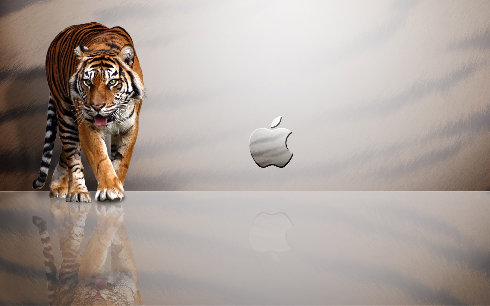 Картинки Тигр, Apple фото и обои на рабочий стол