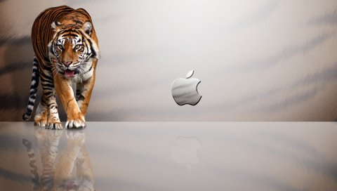 Тигр, Apple
