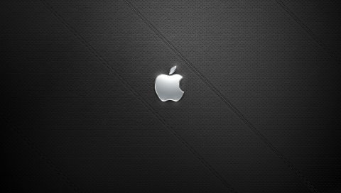 Apple, Shiney, Steel
