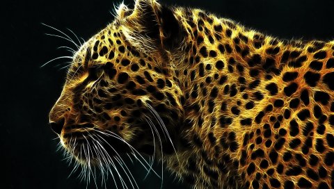 Цифровой, Leopard