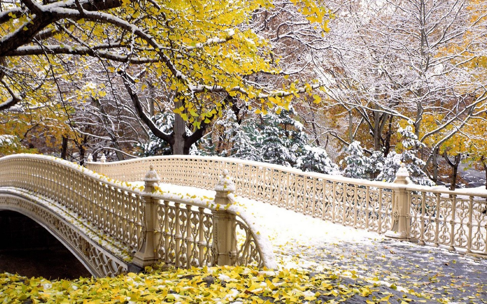 Картинки Падение, Центральный, Йорк, Парк фото и обои на рабочий стол